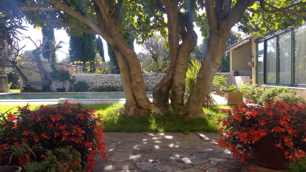 Apartamento Sous Le Figuier... Buisson Exterior foto