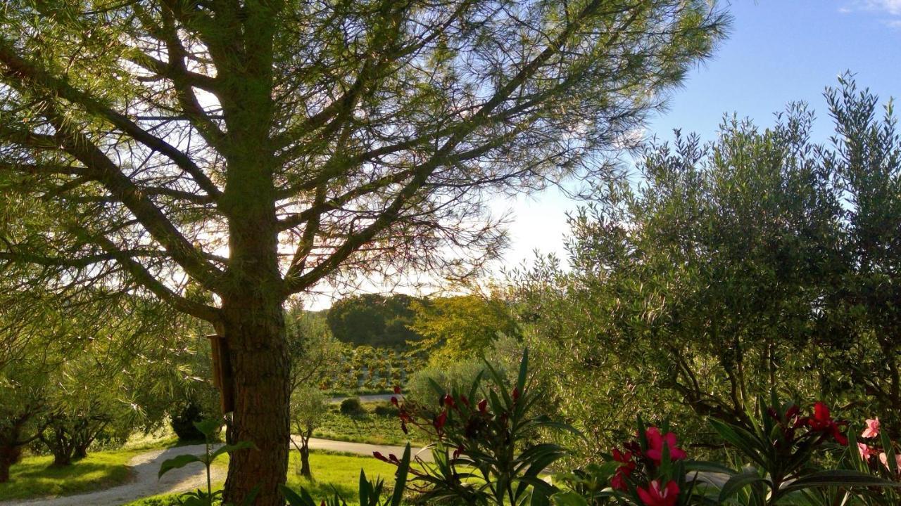 Apartamento Sous Le Figuier... Buisson Exterior foto